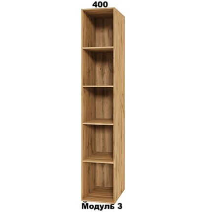 Модуль 3  0,4 х 2,2 Спейс СМ