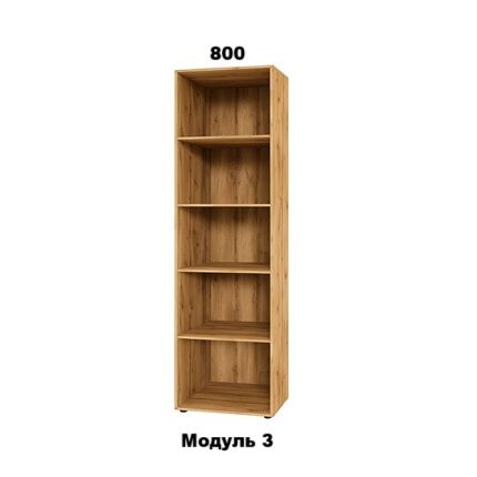 Модуль 3  0,8 х 2,4 Спейс СМ